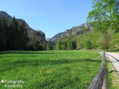IMG_1503.jpg