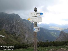 IMG_1552.jpg