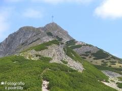 IMG_1563.jpg