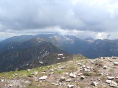 IMG_1619.jpg