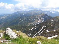 IMG_1630.jpg