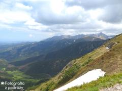 IMG_1644.jpg