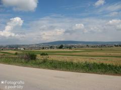 IMG_2375.jpg