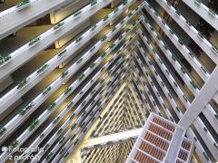 IMG_1685.jpg