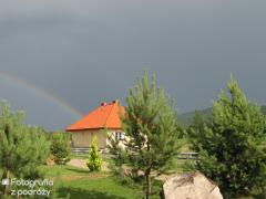 IMG_2444.jpg