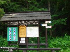 IMG_9682.jpg