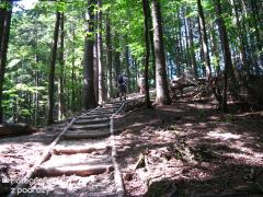 IMG_9688.jpg