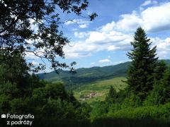 IMG_9691.jpg