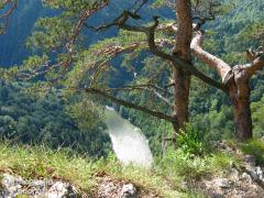 IMG_9695.jpg