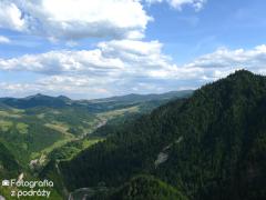 IMG_9699.jpg