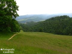 IMG_9776.jpg