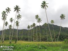 Rarotonga (30.05.2018)