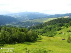IMG_9814.jpg