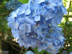 IMG_4308.jpg