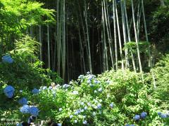 IMG_4309.jpg