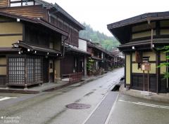 IMG_4490.jpg