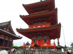 IMG_4881.jpg