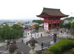 IMG_4883.jpg