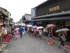 IMG_4894.jpg