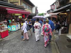 IMG_4895.jpg
