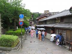 IMG_4902.jpg