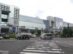 IMG_4912.jpg