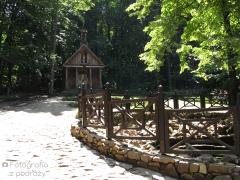 IMG_2483.jpg