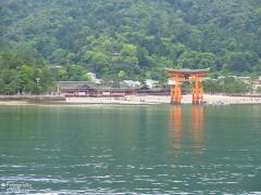IMG_4570.jpg