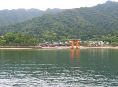 IMG_4571.jpg