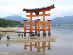 IMG_4601.jpg