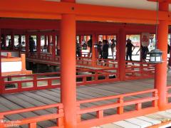 IMG_4627.jpg