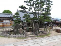 IMG_4654.jpg