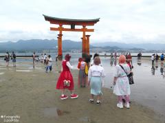 IMG_4664.jpg