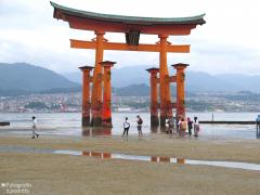 IMG_4667.jpg