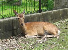 IMG_4681.jpg