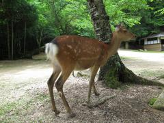 IMG_4682.jpg