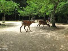 IMG_4686.jpg