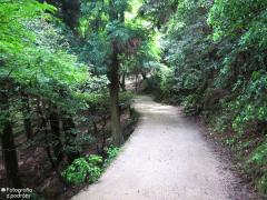 IMG_4687.jpg