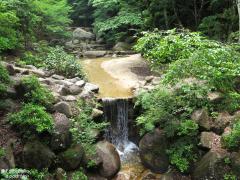 IMG_4703.jpg