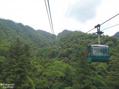 IMG_4708.jpg