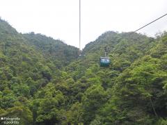 IMG_4715.jpg