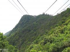 IMG_4717.jpg