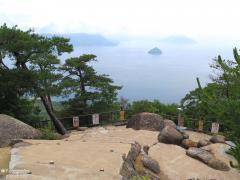 IMG_4729.jpg