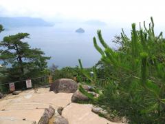 IMG_4730.jpg
