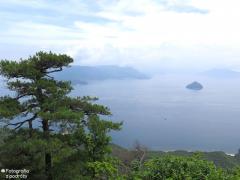IMG_4731.jpg