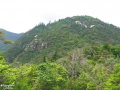 IMG_4734.jpg