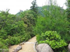IMG_4738.jpg