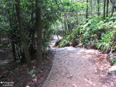 IMG_4740.jpg