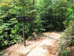 IMG_4741.jpg