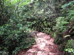IMG_4742.jpg